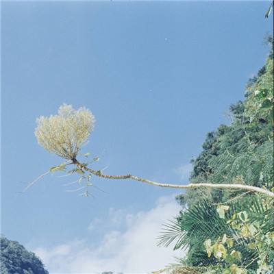 唐砖