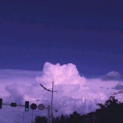 领航新质——李振宇荣膺CAIMRS年...