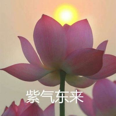 上海妈妈寻亲27年 悬赏市区一套房
